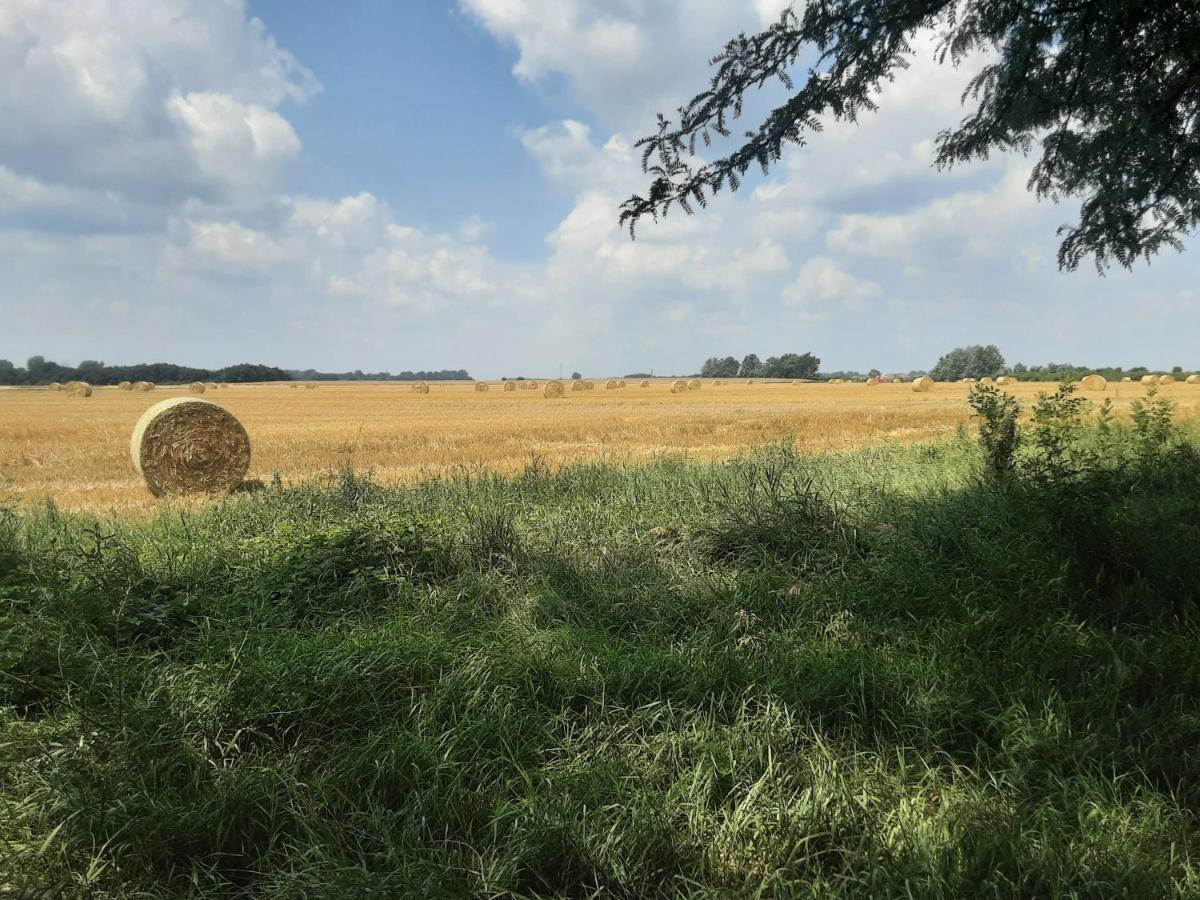 Herberg Tisza Tiszabábolna Exterior foto