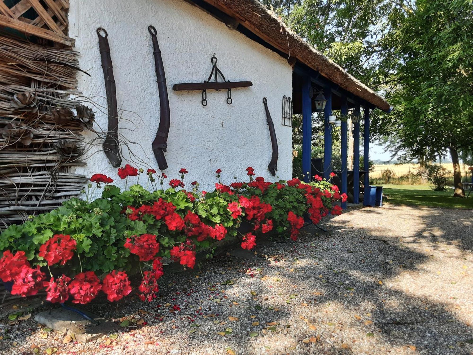 Herberg Tisza Tiszabábolna Exterior foto
